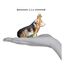 Old World Christmas Christbaumschmuck: Hunde-Kollektion, Glasornamente für Weihnachtsbaum Basset Hound 1.5 x 3 Glitzer Braun