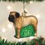 Old World Christmas Ornaments Hundekollektion Glasornamente für Weihnachtsbaum Englischer, Glas, German Mastiff, 3x3