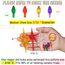 KonohaELF Ceramic Christmas Tree Replacement Lights/Bulbs, Ceramic Tree Medium Multicolor Twist Light Ornaments(117 Bulbs+5 Topper Star)