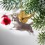 Christbaumschmuck - Ehren Die Feline graue Tabby-Feiertags-Engels-Katzenornamente