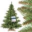 FAIRYTREES Weihnachtsbaum künstlich NORDMANNTANNE, grüner Stamm, Material PVC, inkl. Holzständer, 180cm