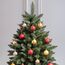 FAIRYTREES Weihnachtsbaum künstlich NORDMANNTANNE, grüner Stamm, Material PVC, inkl. Holzständer, 220cm