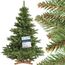 FAIRYTREES Weihnachtsbaum künstlich NORDMANNTANNE, grüner Stamm, Material PVC, inkl. Holzständer, 150cm