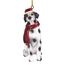Design Toscano Christmas Ornaments, Weihnachten dalmatinischen Ferienhundeornamente