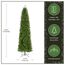 National Tree Company Künstlicher Weihnachtsbaum, 300 cm, unbeleuchtet, Kingswood-Tanne, schlank, 1.715 Zweigspitzen, inklusive Ständer, grün