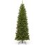 National Tree North Valley Fichte, schmaler Baum, 2,1 m, 2,1 m