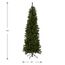 National Tree North Valley Fichte, schmaler Baum, 2,1 m, 2,1 m