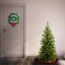 National Tree Company Künstlicher Weihnachtsbaum mit Ständer, Kingswood Tanne, Bleistift, 2,7 m, 1,2 m
