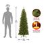 National Tree Company Künstlicher schmaler Weihnachtsbaum, grün, Nordvalley Fichte, inklusive Ständer, 1,8 m