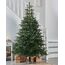 WeRChristmas Nordmann Tanne Weihnachtsbaum, Kunststoff, grün, 6 ft/1,8 M, Plastik, grün, 8 feet/2.4 m