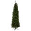 National Tree Company Kingswood Künstlicher Weihnachtsbaum mit Ständer, 2 m, Grün