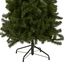 National Tree North Valley Fichte, schmaler Baum, 2,1 m, 2,1 m