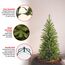 National Tree Company Künstlicher Weihnachtsbaum mit Ständer, Kingswood Tanne, Bleistift, 2,7 m, 1,2 m
