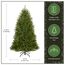 National Tree 6.5 Foot Dunhill Fir Tree, Hinged (DUH-65)