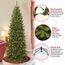 National Tree Company Künstlicher schmaler Weihnachtsbaum, grün, Nordvalley Fichte, inklusive Ständer, 1,8 m