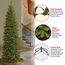 National Tree North Valley Fichtenstift, schmal, 2,7 m, 2,7 m