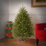 National Tree Company Künstlicher Weihnachtsbaum | inklusive Ständer | Dunhill Tanne – 1,2 m