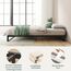 ZINUS Trisha 18 cm Metallrahmenbett | Lattenrost | Holzlattenunterstützung | 100 x 200 cm | Schwarz