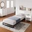 Zinus Trisha 7 Inch Heavy Duty Low Profile Platforma Bed Frame/Mattress Foundation/Box Spring Optional/Wood Slat Support, Twin