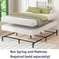 Amazon Basics Bettgestell mit 9 Beinen, aus Metall, starke Unterstützung für Boxspringbett und Matratze, werkzeuglose einfache Montage, Queen-Size-Bett