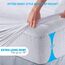 PlushDeluxe Bambus Matratzenschoner Wasserdichter, hypoallergener und ultraweicher atmungsaktiver Bezug Schutz - PVC, Phthalat (Twin)