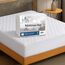 Matratze Pad Cover – Spannbettlaken – Gesteppt – Queen (152,4 x 203,2 cm) – erstreckt sich 40,6 cm Tief.