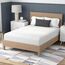 VIBE Defend-A-Bed Premium Fitted Washable Terry Cloth Wasserdichter Matratzenschoner, Polyester, Weiss/opulenter Garten, Queen