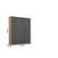 Rauch Möbel Voyager, Kleiderschrank für Schlafzimmer, Kinderzimmer, Babyzimmer, Jugendzimmer, Flur, 3-türig, mit Zubehör Basic, Farbe Grau metallic, Schwarz/Eiche Artisan, Holz, Breite 140cm