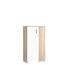 FORTE Boots Schuhschrank mit 2 Türen, Holzwerkstoff, Sonoma Eiche Dekor + Weiß, B x H x T: 68,9 x 120,4 x 34,1 cm