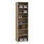 Forte NET106 Schuhschrank 50, schmaler Flurschrank mit 6 Einlegeböden und Spiegelfront, Flur, Diele, Holzwerkstoff, Artisan Eiche Holzdekor, 50,2 cm breit x 179,1 cm hoch x 34,8 cm tief