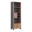 FORTE Clif Regal mit 1 Tür und 2 Schubladen, Holzwerkstoff, Old – Wood Vintage/ Betonoptik Dunkelgrau, 67 x 204,7 x 41,6 cm
