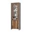 FORTE Clif Vitrine mit 1 Tür, 1 Glastür, Holzwerkstoff, Old – Wood Vintage/ Betonoptik Dunkelgrau, 62 x 204,7 x 41,6 cm