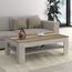 FORTE DURO Couchtisch mit Ablage, Holzwerkstoff, Pinie Weiß/ Antik Eiche, 120 x 75 x 43 cm