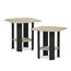 Furinno Simple Design Beistelltisch (2er Set), Holz, Creme Kunstmarmor/Schwarz, 50.8 x 50.8 x 49.78 cm