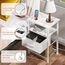 LAKEMID Nachttisch mit Ladestation und Schublade, Beistelltisch mit 20 Farben-LED-Lichtstreifen und 2-lagiges Regal für Schlafzimmer, Wohnzimmer, Sofa, Weiß