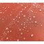 QUICK STAR Paravent Outdoor Wetterfest 180 x 178 cm Rotorange | Raumteiler Stellwand Innen | Garten & Balkon Sichtschutz Blickdicht