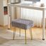 IBUYKE rechteckiger Fußstützenstuhl Ottoman, Make-up Eitelkeits Hocker Beistelltisch, Samt Ankleidetisch Sitz, Fußhocker Stuhl, goldene Stahlbeine, für Make-up Raum, Schlafzimmer, Grau WBD003G