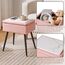 Aibiju Schminktisch-Stuhl mit Stauraum, Rechteckiger Fußhocker aus Kunst-Teddyfell mit Metallbeinen, Make-up-Schminkhocker, Beistelltisch für Make-up-Raum, Schlafzimmer, Pink YD-SMS137P