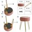 IBUYKE Samt Runde Fußstütze Hocker Ottoman, Make-up Eitelkeits Beistelltisch, Samt Ankleidetisch Sitz, Pouf Couch Hocker, goldene Stahlbeine, rosa L/G-30P
