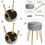 IBUYKE Samt Speicher Fußstütze Hocker Ottoman, Make-up Eitelkeits Hocker Beistelltisch mit goldenen Stahlbeinen abnehmbare Abdeckung, Couchtisch Top Cover, grau L/G-20G