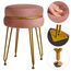 IBUYKE moderner Samt runder Fußstock Ottoman, Eitelkeitsstuhl für Make-up-Raum, Eitelkeitsstock Fußstütze mit Goldbeinen, Moderne Accet Hocker für Schlafzimmer, Wohnzimmer, Eingang, Rosa L/G-40P
