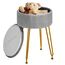 IBUYKE Samt Speicher Fußstütze Hocker Ottoman, Make-up Eitelkeits Hocker Beistelltisch mit goldenen Stahlbeinen abnehmbare Abdeckung, Couchtisch Top Cover, grau L/G-20G