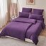 RUIKASI Bettwäsche 135x200 Lila 4teilig - Dunkel Violett Bettwäsche-Sets Oeko-TEX, 2 Bettbezüge 135x200cm + 2 Kissenbezüge 80x80cm mit Reißverschluss, Weich und Bügelfrei