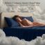 Utopia Bedding Bettwäsche-Set für Doppelbett, 3-teilig, gebürstete Mikrofaser, schrumpft und verblasst Nicht, pflegeleicht (Doppelbett, Marineblau)