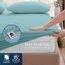 Utopia Bedding Queen-Size-Bettlaken-Set, gebürstete Mikrofaser, weiche Bettwäsche für Queen-Size-Bett, enthält 1 Spannbetttuch, 1 Flachbett und 2 Kissenbezüge, Tiefe Tasche (Spa Blue)