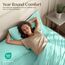 Utopia Bedding Bettlaken Set - Polyester-Microfaser, Spannbettlaken, Bettlaken und Kissenbezüge