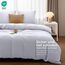 Utopia Bedding Bettwäsche Set - Mikrofaser Bettbezug 260x240 cm + 2 Kissenbezüge 65x65 cm - Weiß