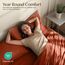 Utopia Bedding Bettwäsche-Set für King-Size-Bett, 4-teilig, gebürstete Mikrofaser, schrumpft und lichtbeständig, pflegeleicht (King-Size-Bett, Terrakotta-Orange)