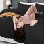 Utopia Bedding Bettbezug für King-Size-Bett: 3-teilig mit Reißverschluss, 1 Bettdeckenbezug 277 x 228 cm und 2 Kissenbezüge 50 x 91 cm (schwarz), Bettdecke Nicht im Lieferumfang enthalten
