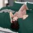 Utopia Bedding 3-teiliges Bettwäsche-Set mit Reißverschluss, King-Size, 1 Bettbezug mit 2 Kissenbezügen, ultraweiche gebürstete Mikrofaser, 264 x 228 cm, King-Size